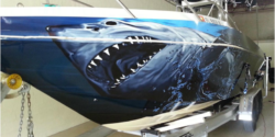 shark-boat-wrap